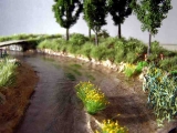 Bild-Alias: Diorama "Am Kristallbach"